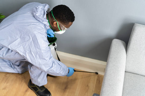 Best Fumigation Services  in Kean University, NJ